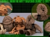 BUDDIES1