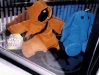 jrebobuddies