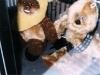 Buddies