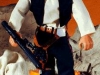 HANDOLL