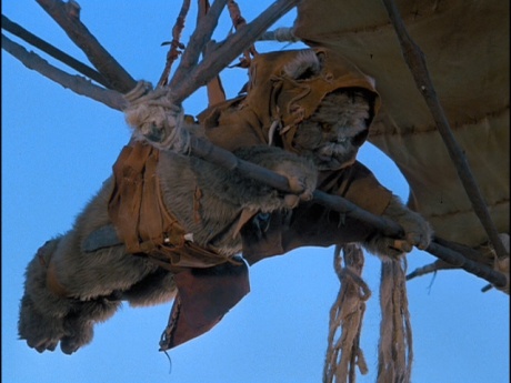 ewok-glide ewok-glide